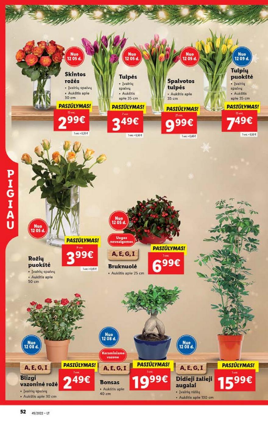 Lidl pasiūlymai akcijos nuo 
  2022-12-05 iki 
  2022-12-11 | Leidinukas.lt puslapis 52