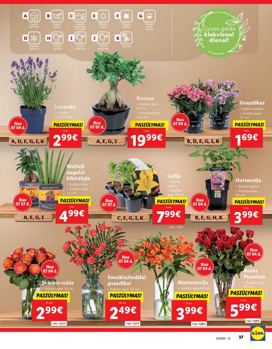 Lidl maisto prekių pasiūlymai akcijos nuo 
  2022-07-04 iki 
  2022-07-10 | Leidinukas.lt puslapis 37