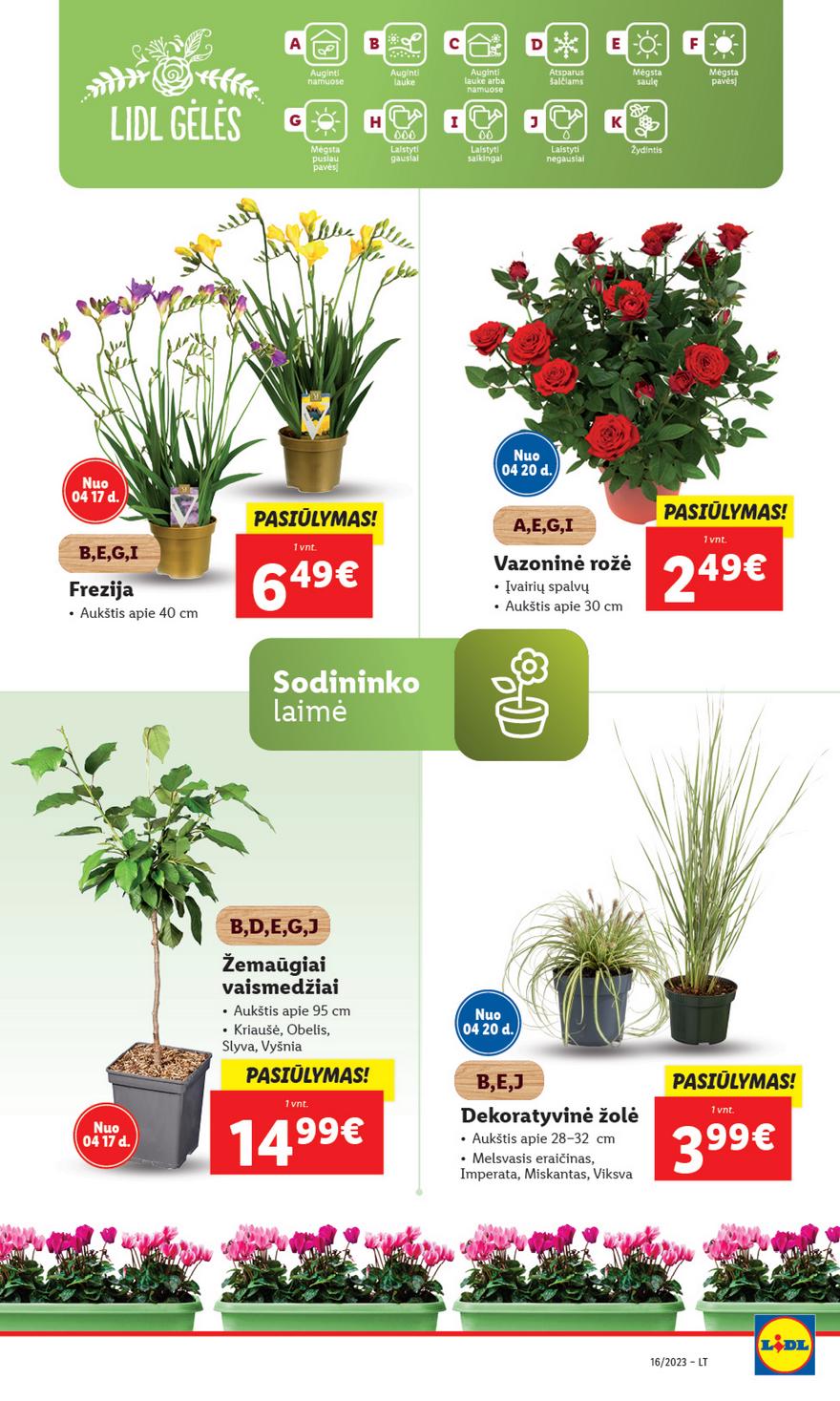 Lidl pasiūlymai akcijos nuo 
  2023-04-17 iki 
  2023-04-23 | Leidinukas.lt puslapis 67