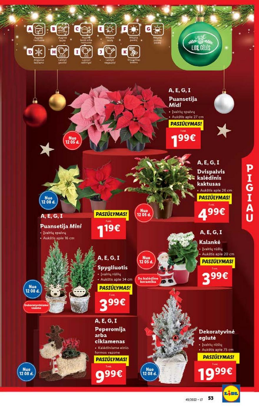 Lidl pasiūlymai akcijos nuo 
  2022-12-05 iki 
  2022-12-11 | Leidinukas.lt puslapis 53