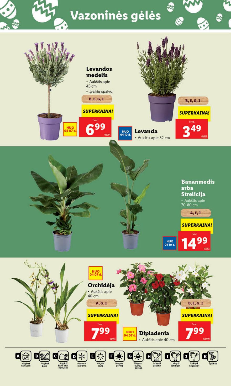 Lidl leidinys akcijos nuo 
  2025-04-07 iki 
  2025-04-13 | Leidinukas.lt puslapis 42