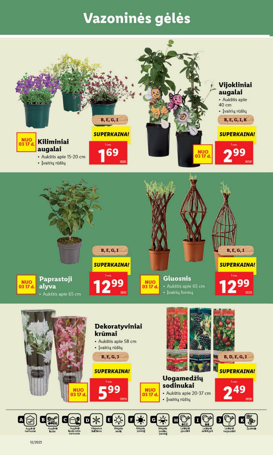 Lidl leidinys akcijos nuo 
  2025-03-17 iki 
  2025-03-23 | Leidinukas.lt puslapis 32