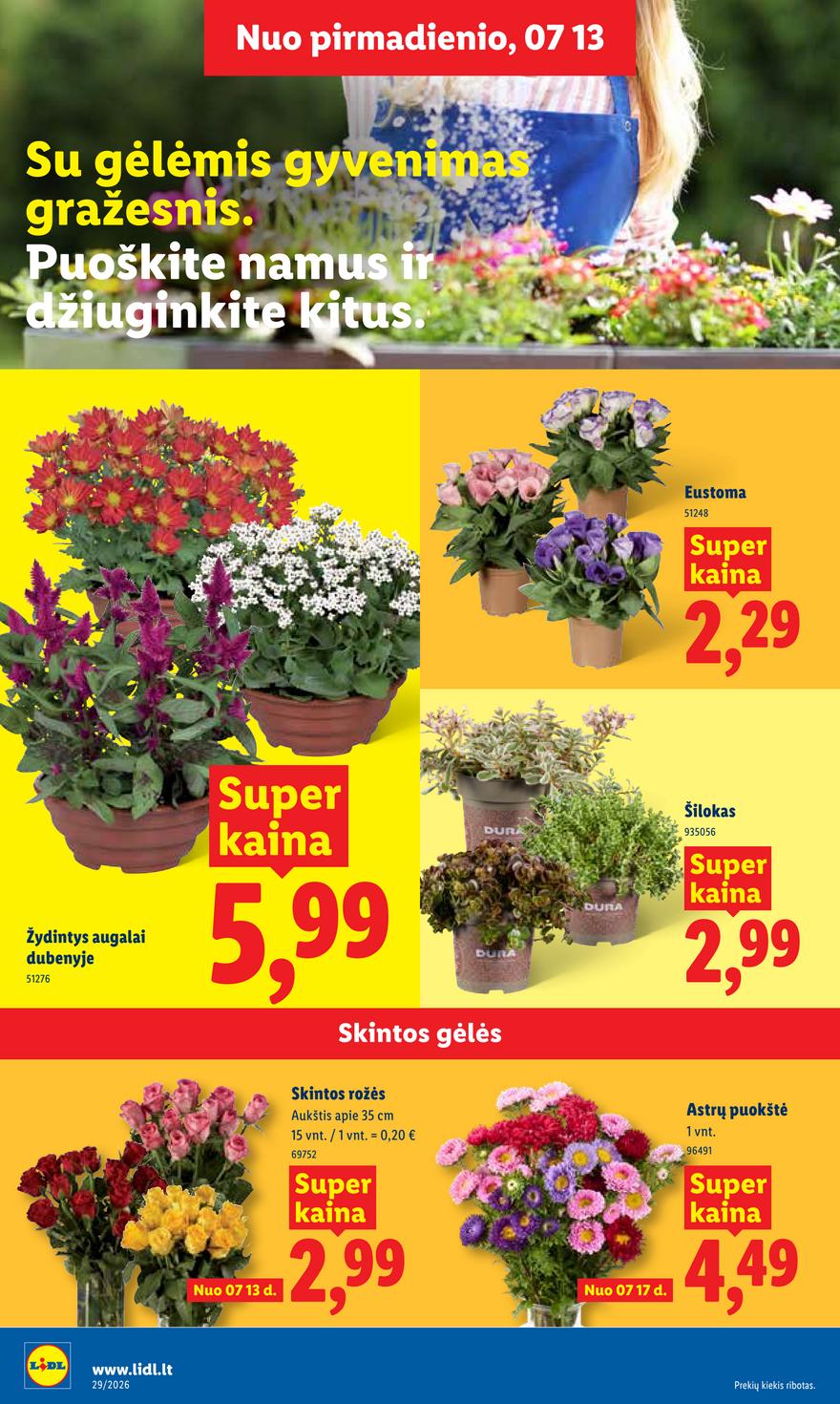 Lidl leidinys akcijos nuo 
  2026-07-13 iki 
  2026-07-19 | Leidinukas.lt puslapis 8