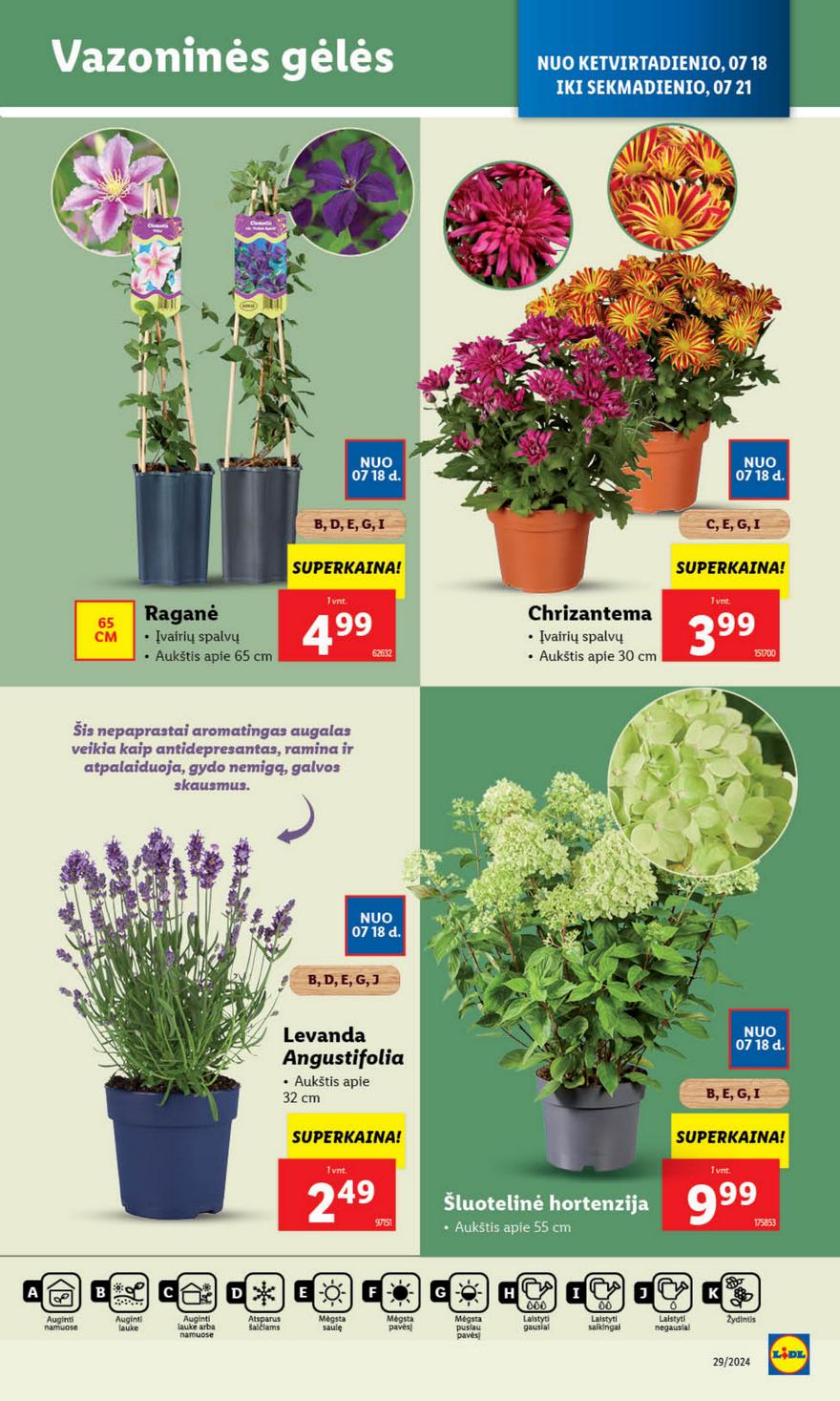 Lidl leidinys akcijos nuo 
  2024-07-15 iki 
  2024-07-21 | Leidinukas.lt puslapis 37