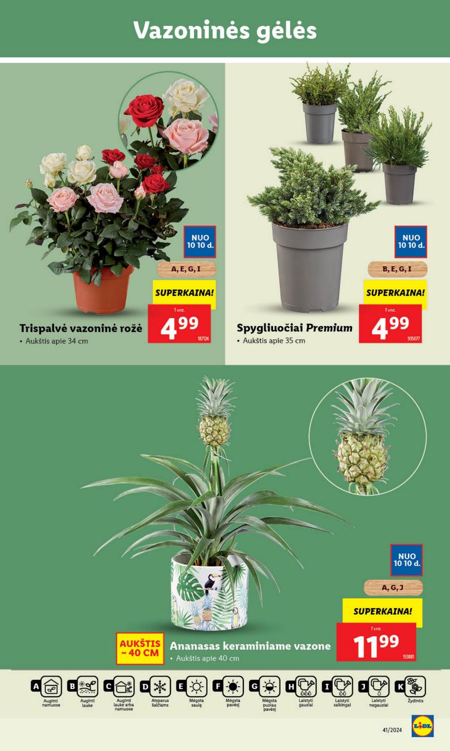 Lidl savaitinis leidinys akcijos nuo
2024-10-07 iki
2024-10-13 | Leidinukas.lt puslapis 38