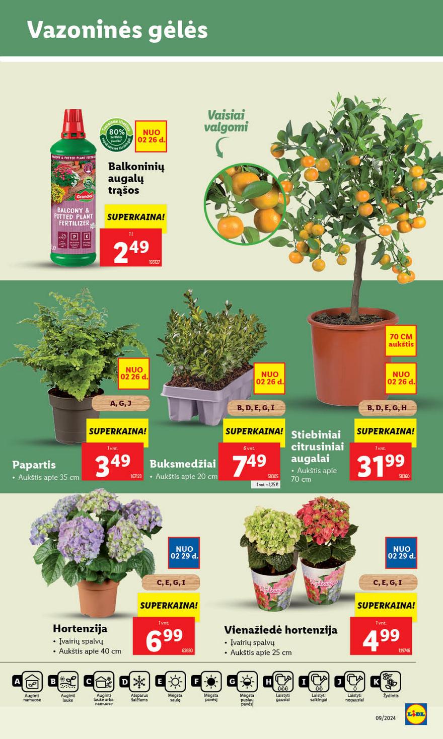 Lidl pasiūlymai akcijos nuo 
  2024-02-26 iki 
  2024-03-03 | Leidinukas.lt puslapis 31