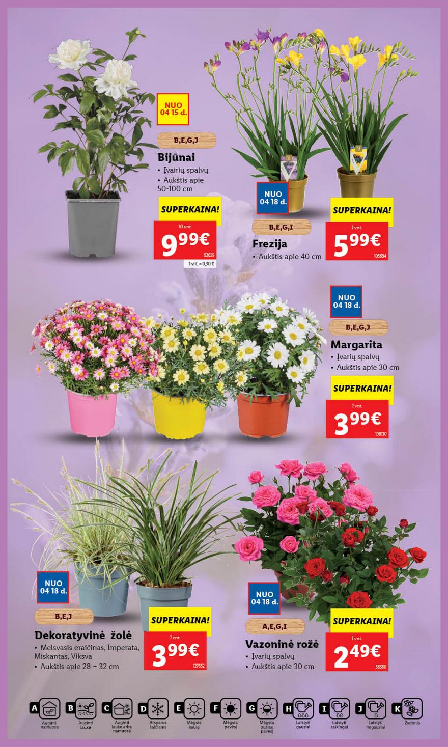 Lidl leidinys akcijos nuo 
  2024-04-15 iki 
  2024-04-21 | Leidinukas.lt puslapis 41