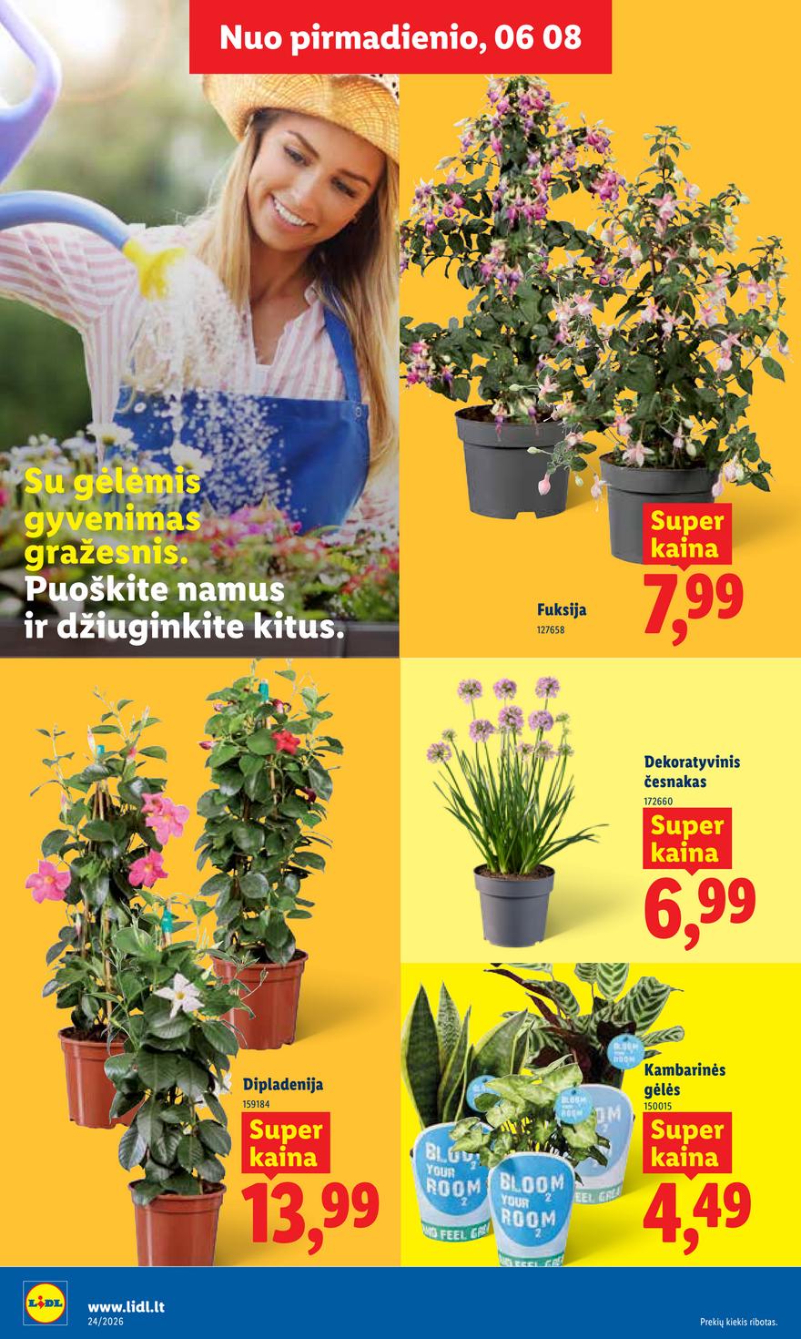 Lidl leidinys akcijos nuo 
  2026-06-08 iki 
  2026-06-14 | Leidinukas.lt puslapis 8