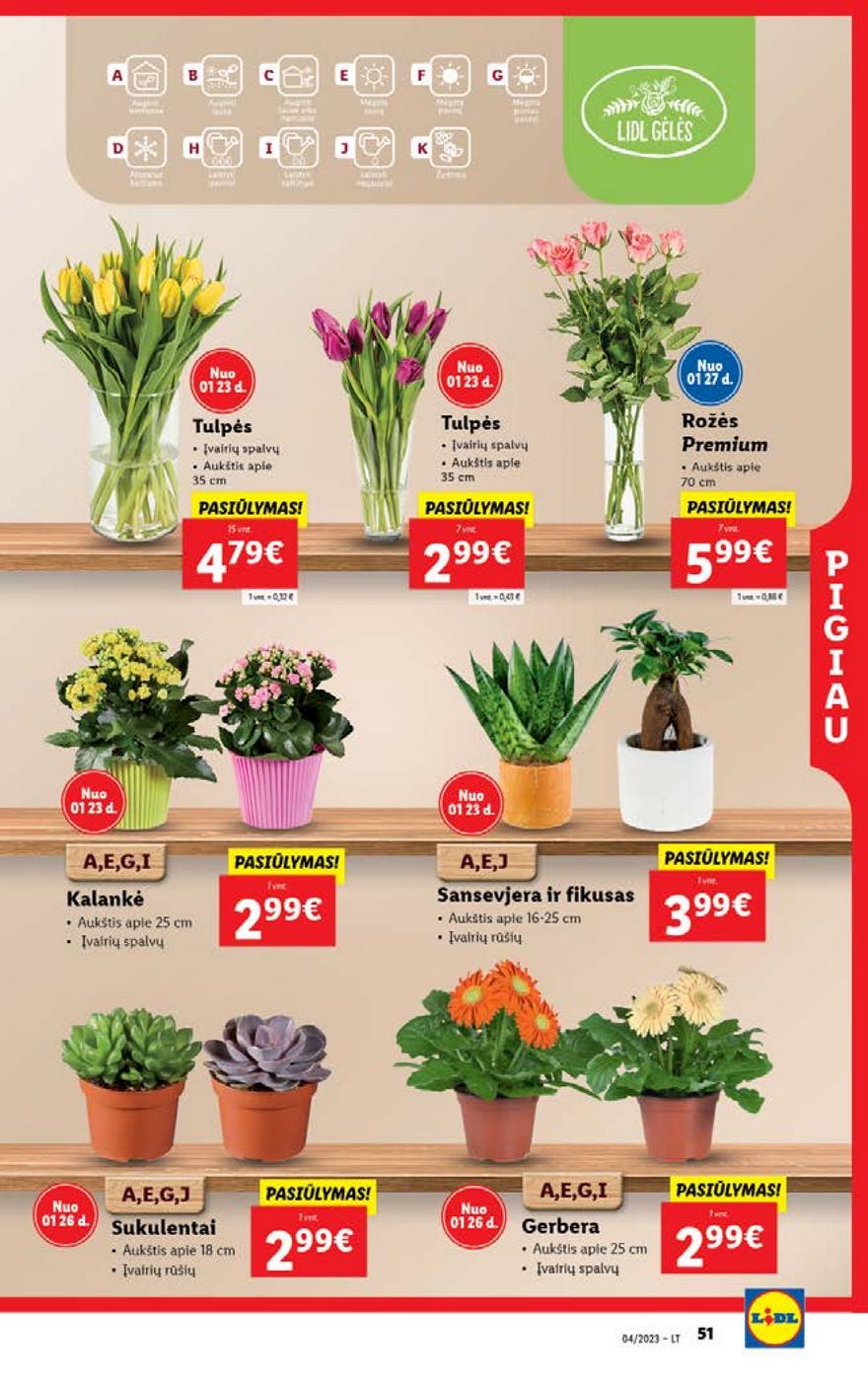 Lidl pasiūlymai akcijos nuo 
  2023-01-23 iki 
  2023-01-29 | Leidinukas.lt puslapis 51
