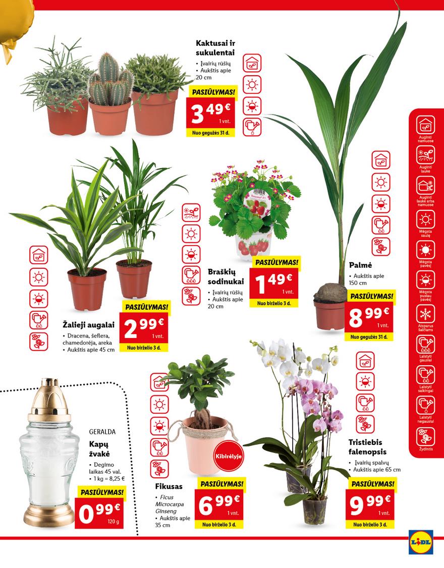 Lidl maisto prekių pasiūlymai akcijos nuo 
  2021-05-31 iki 
  2021-06-06 | Leidinukas.lt puslapis 35