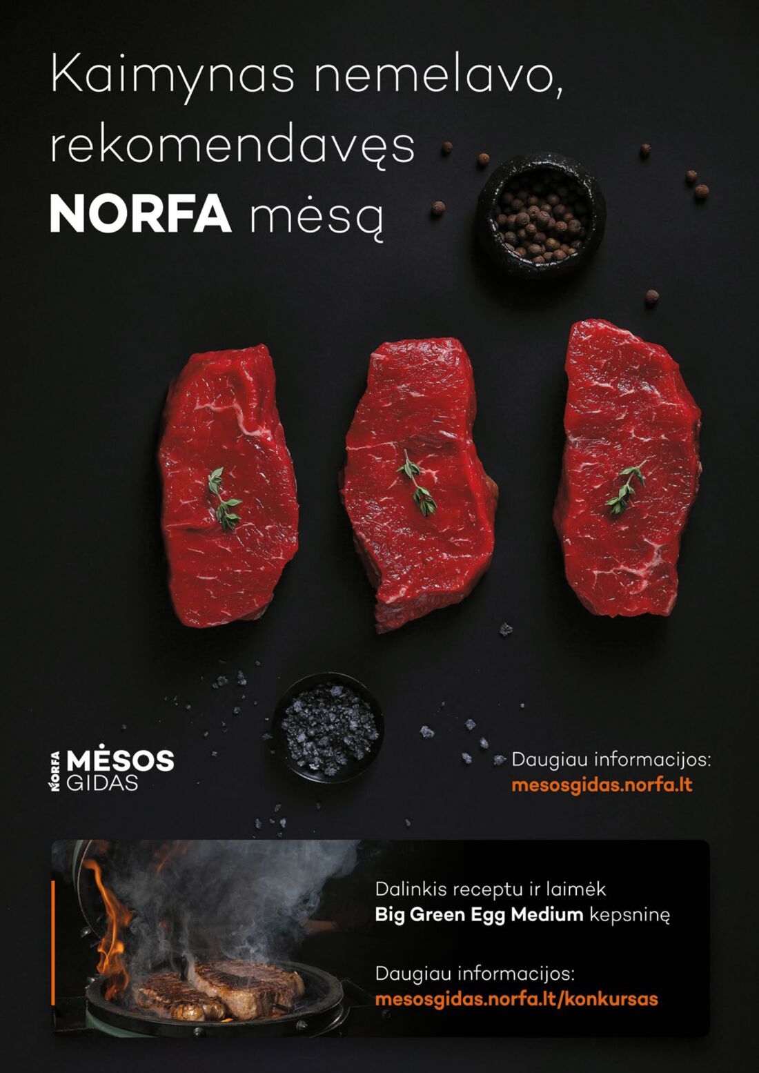 Norfa kaininis leidinys akcijos nuo 
  2021-03-11 iki 
  2021-03-24 | Leidinukas.lt puslapis 14