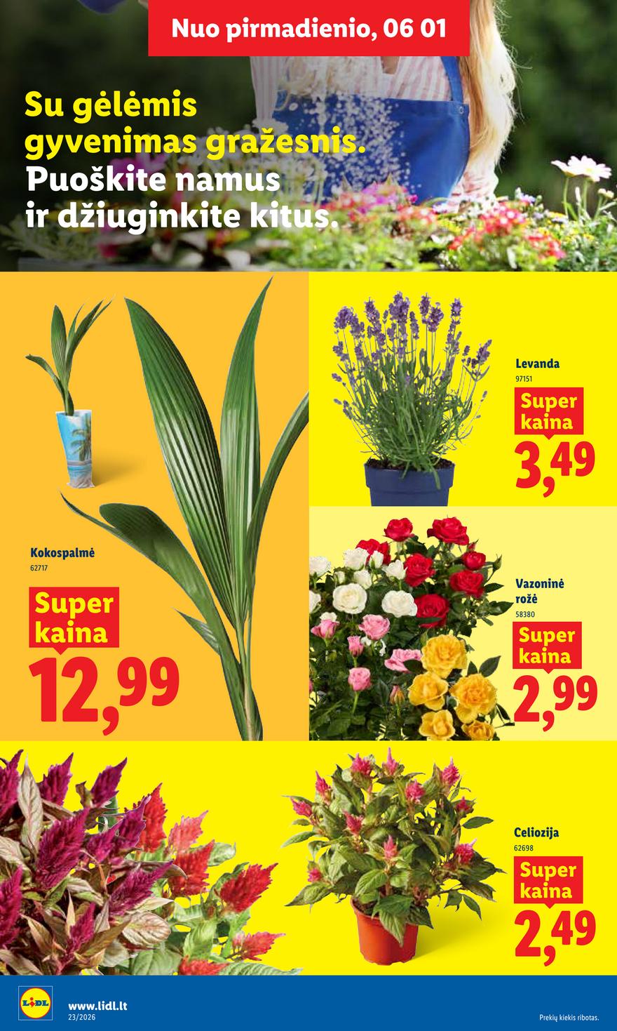 Lidl leidinys akcijos nuo 
  2026-06-01 iki 
  2026-06-07 | Leidinukas.lt puslapis 8