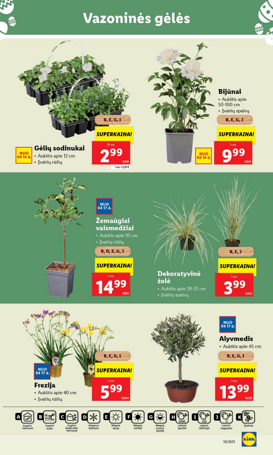 Lidl leidinys akcijos nuo 
  2025-04-14 iki 
  2025-04-19 | Leidinukas.lt puslapis 43