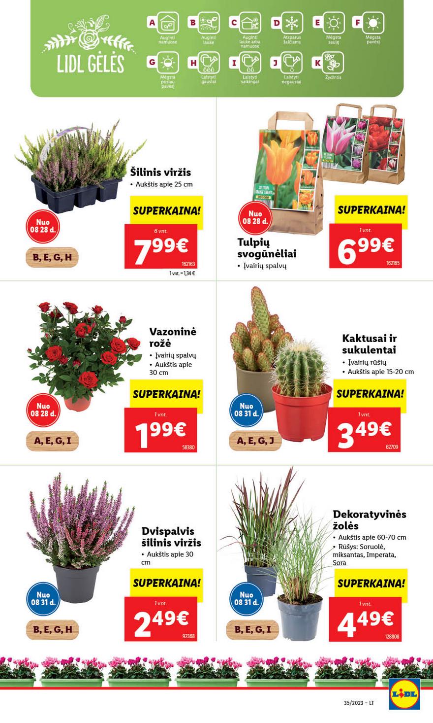 Ldil leidinys akcijos nuo 
  2023-08-28 iki 
  2023-09-03 | Leidinukas.lt puslapis 55
