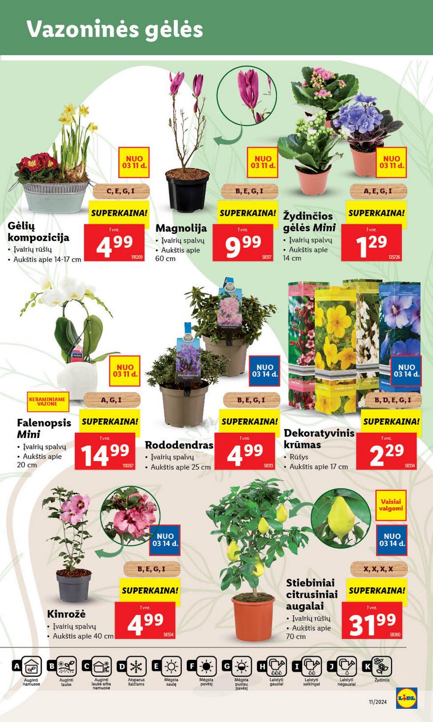 Lidl leidinys akcijos nuo 
  2024-03-11 iki 
  2024-03-17 | Leidinukas.lt puslapis 45