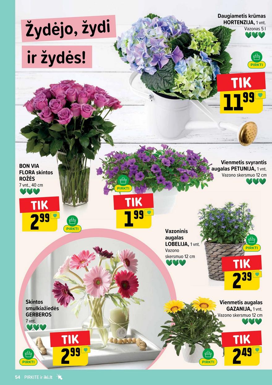 Iki leidinys akcijos nuo 
  2026-06-01 iki 
  2026-06-07 | Leidinukas.lt puslapis 54
