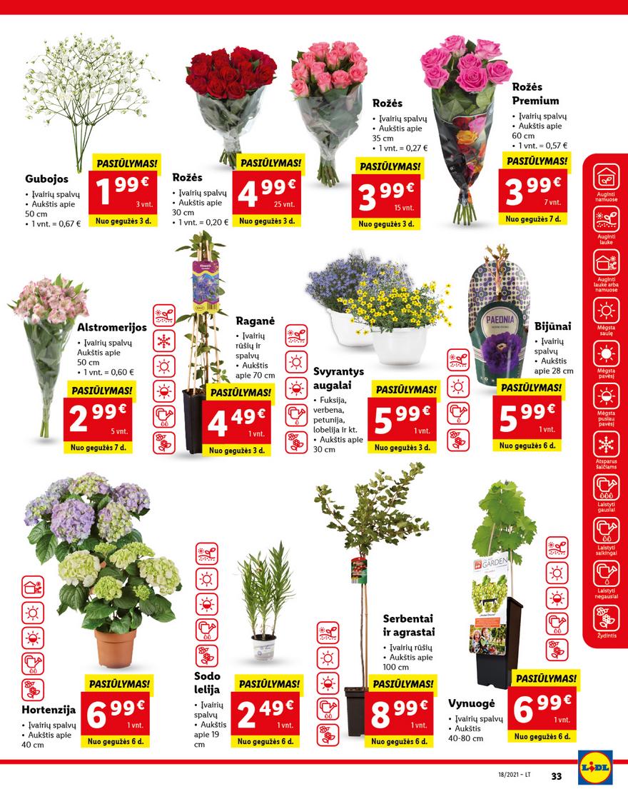 Lidl maisto prekių pasiūlymai akcijos nuo 
  2021-05-03 iki 
  2021-05-09 | Leidinukas.lt puslapis 33