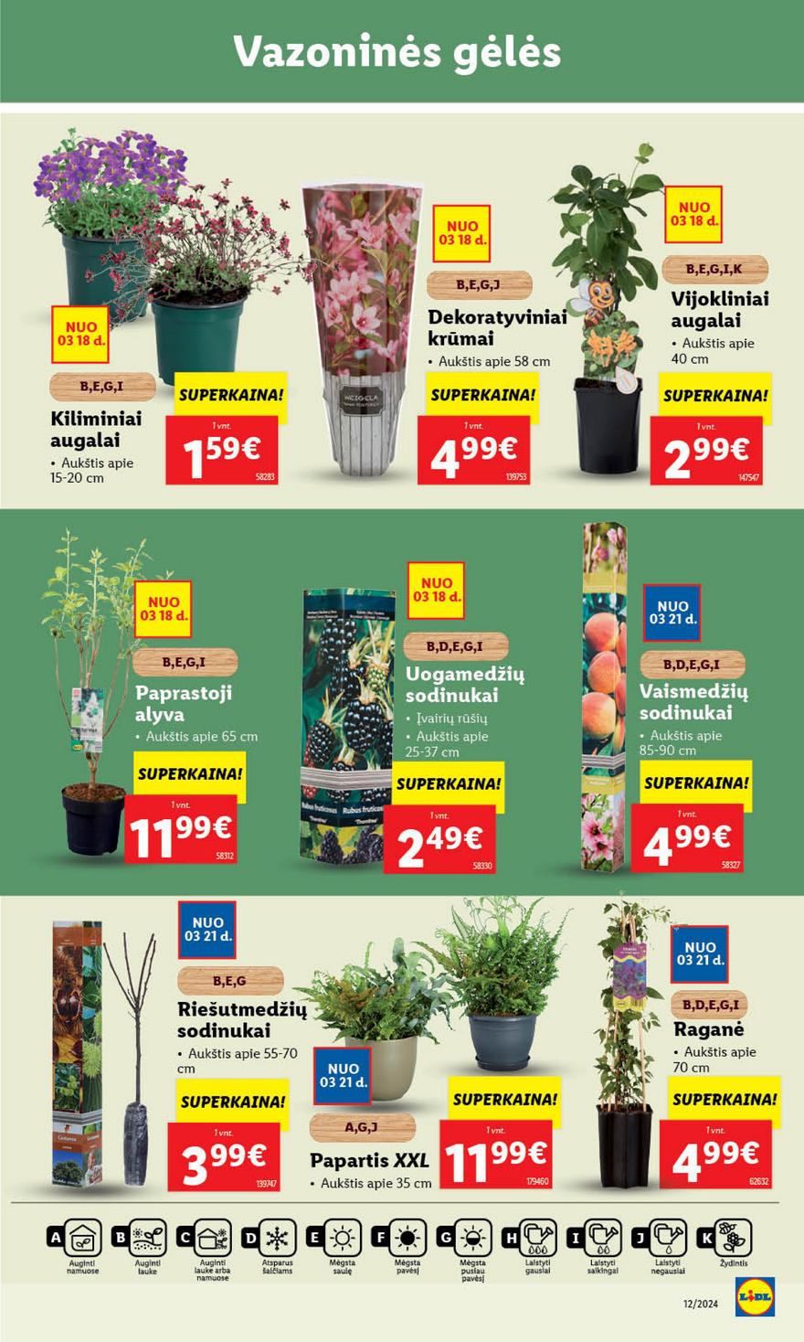 Lidl leidinys akcijos nuo 
  2024-03-18 iki 
  2024-03-24 | Leidinukas.lt puslapis 45