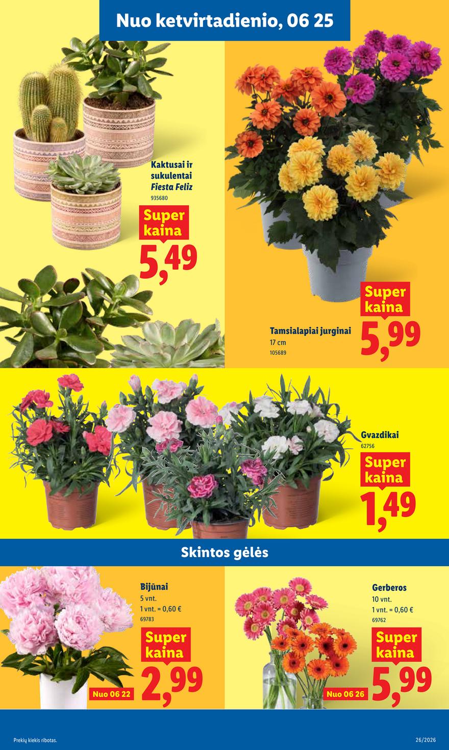 Lidl leidinys akcijos nuo 
  2026-06-22 iki 
  2026-06-28 | Leidinukas.lt puslapis 9