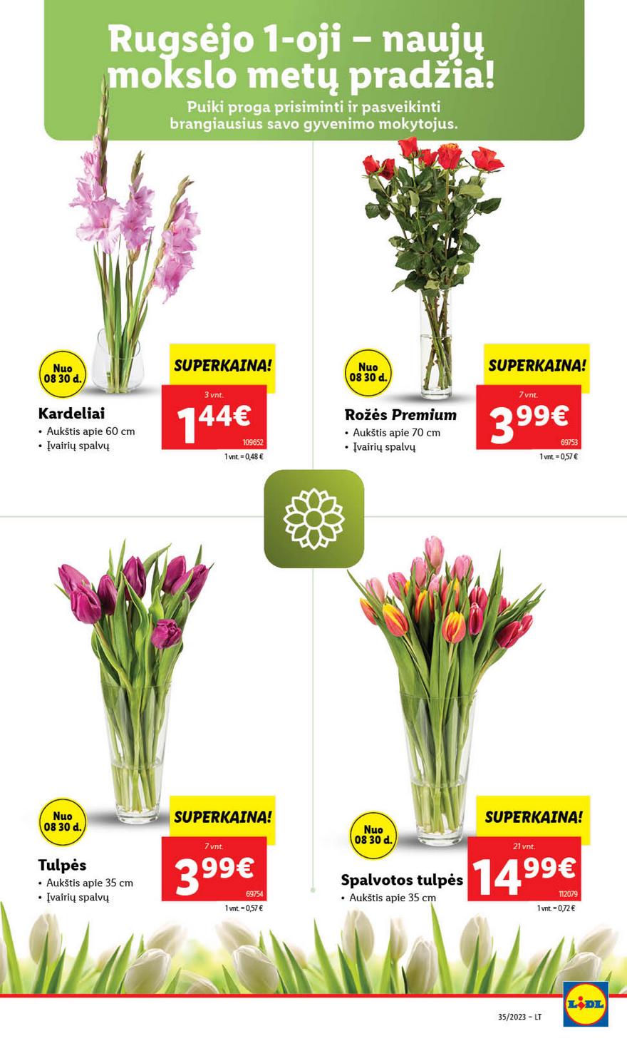 Ldil leidinys akcijos nuo 
  2023-08-28 iki 
  2023-09-03 | Leidinukas.lt puslapis 51