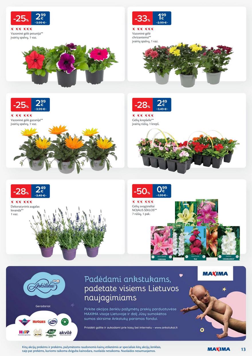 Maxima savaitinis leidinys 21 akcijos nuo 
  2025-05-20 iki 
  2025-05-26 | Leidinukas.lt puslapis 13