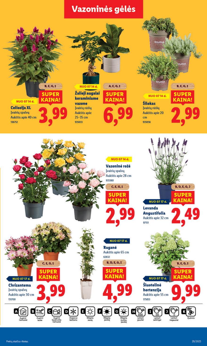 Lidl leidinys naujas akcijos nuo 
  2025-07-14 iki 
  2025-07-20 | Leidinukas.lt puslapis 43