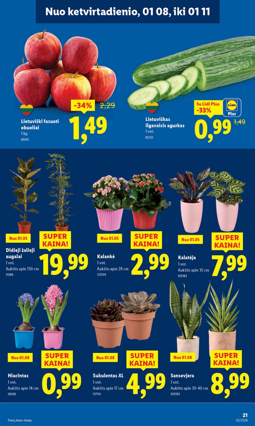 Lidl leidinys akcijos nuo 
  2026-01-05 iki 
  2026-01-11 | Leidinukas.lt puslapis 21