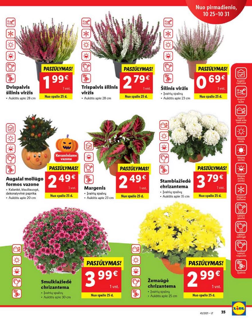 Lidl pasiūlymai akcijos nuo 
  2021-10-25 iki 
  2021-10-31 | Leidinukas.lt puslapis 35
