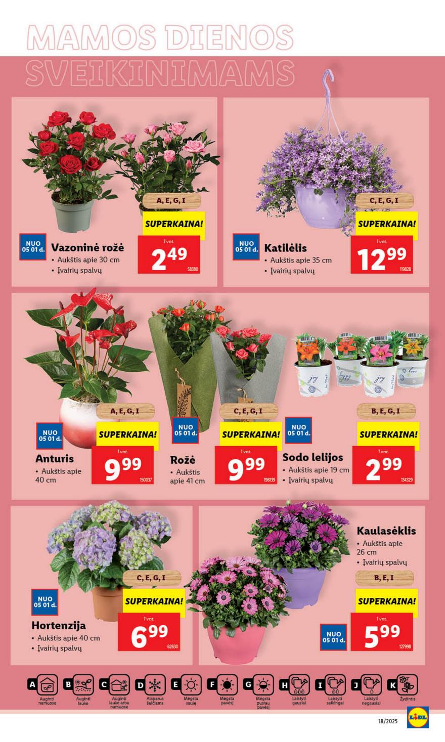 Lidl savaitinis leidinys akcijos nuo 
  2025-04-28 iki 
  2025-05-04 | Leidinukas.lt puslapis 38