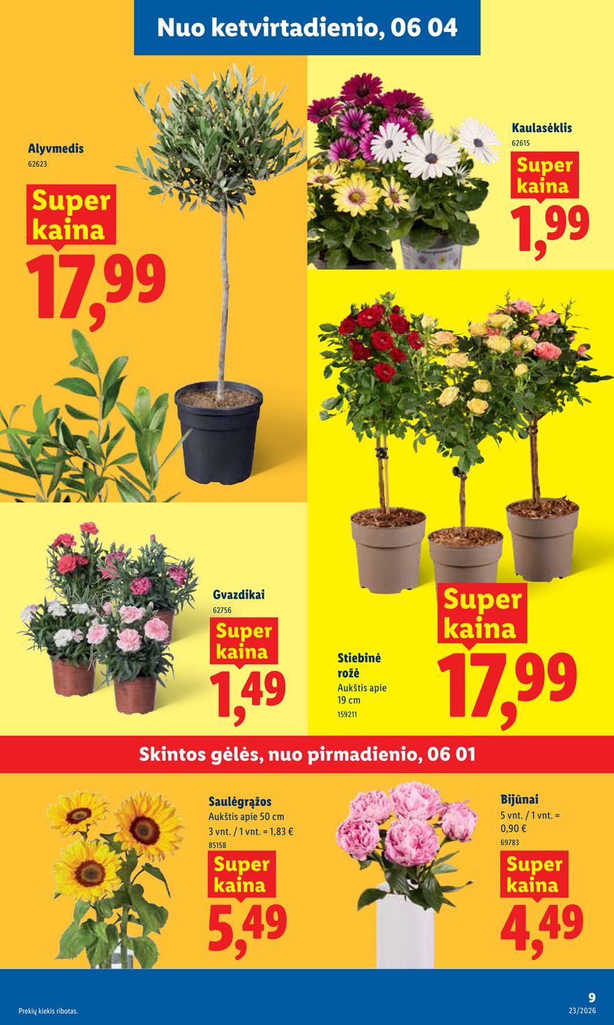 Lidl leidinys akcijos nuo 
  2026-06-01 iki 
  2026-06-07 | Leidinukas.lt puslapis 9