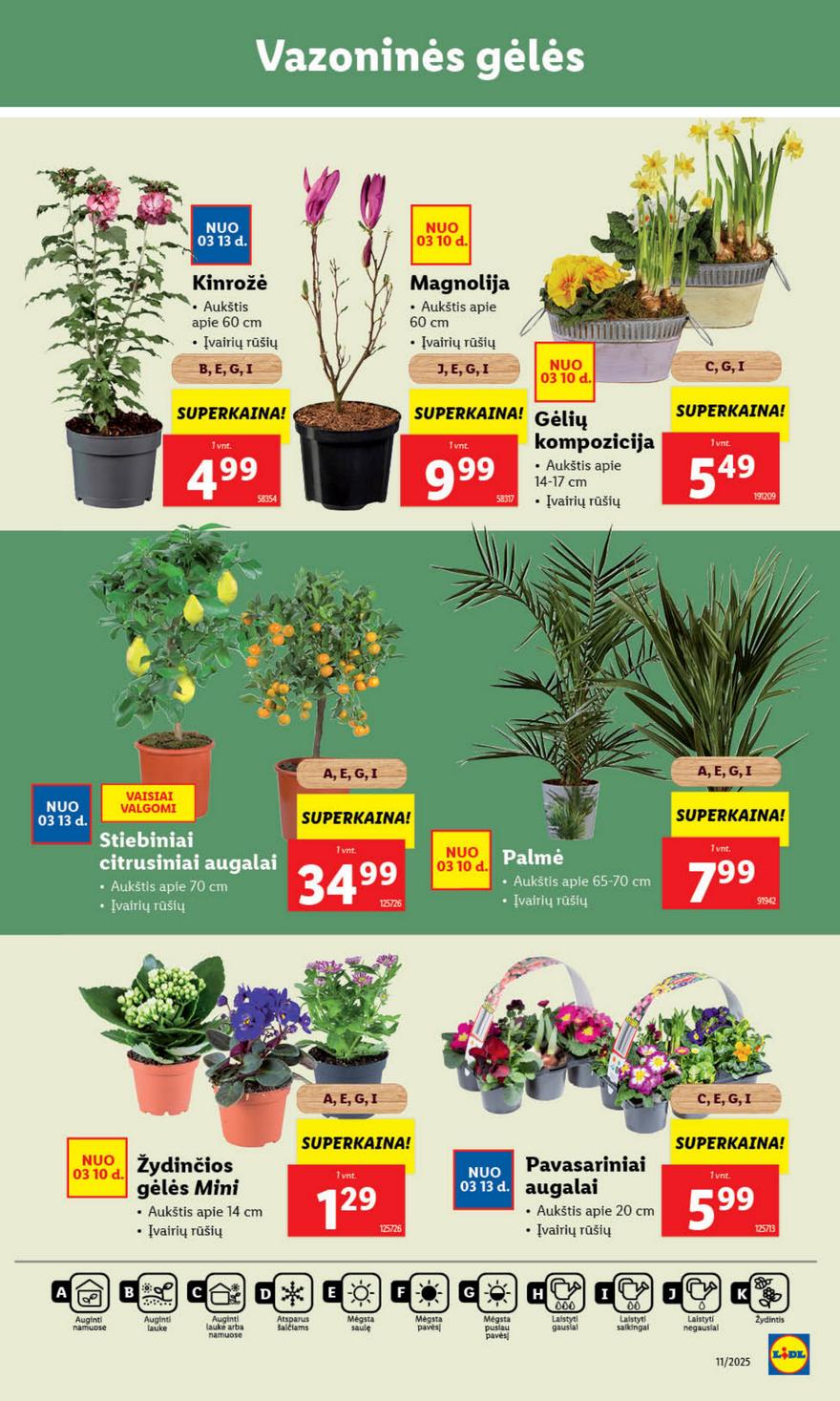 Lidl leidinys akcijos nuo 
  2025-03-10 iki 
  2025-03-16 | Leidinukas.lt puslapis 33
