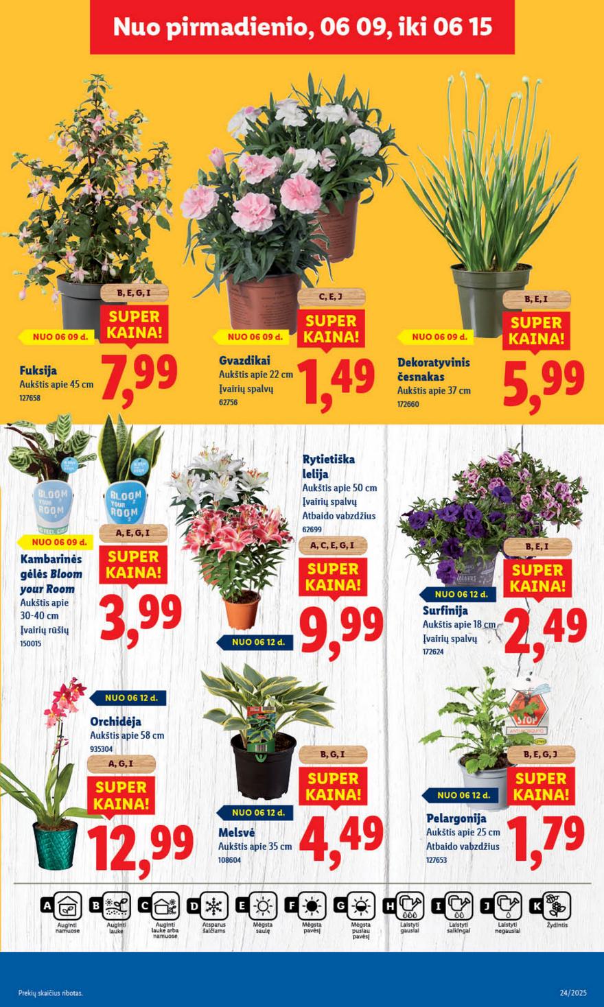 Lidl leidinys akcijos nuo 
  2025-06-09 iki 
  2025-06-15 | Leidinukas.lt puslapis 41