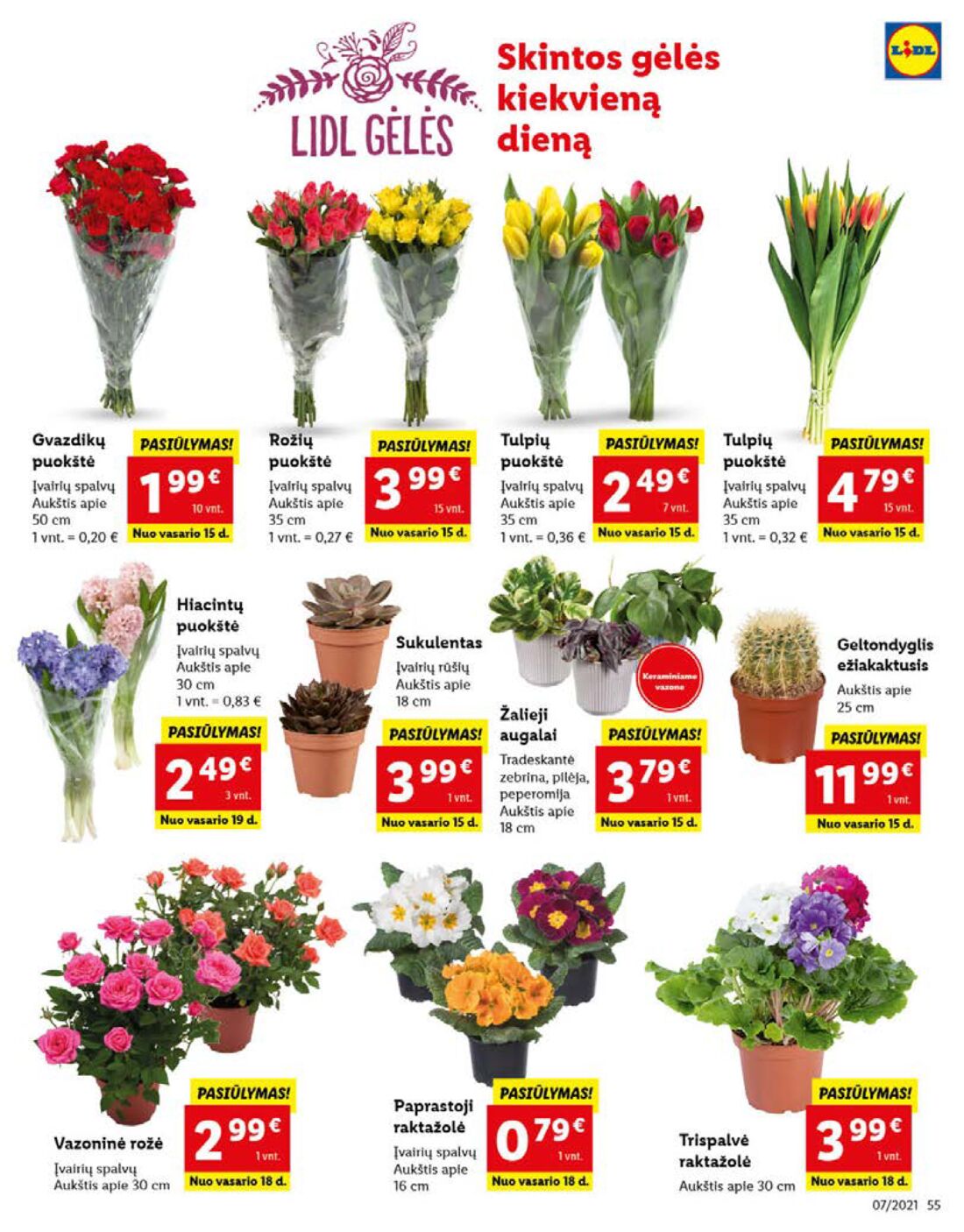 Lidl savaitinis leidinys akcijos nuo 
  2021-02-15 iki 
  2021-02-21 | Leidinukas.lt puslapis 55