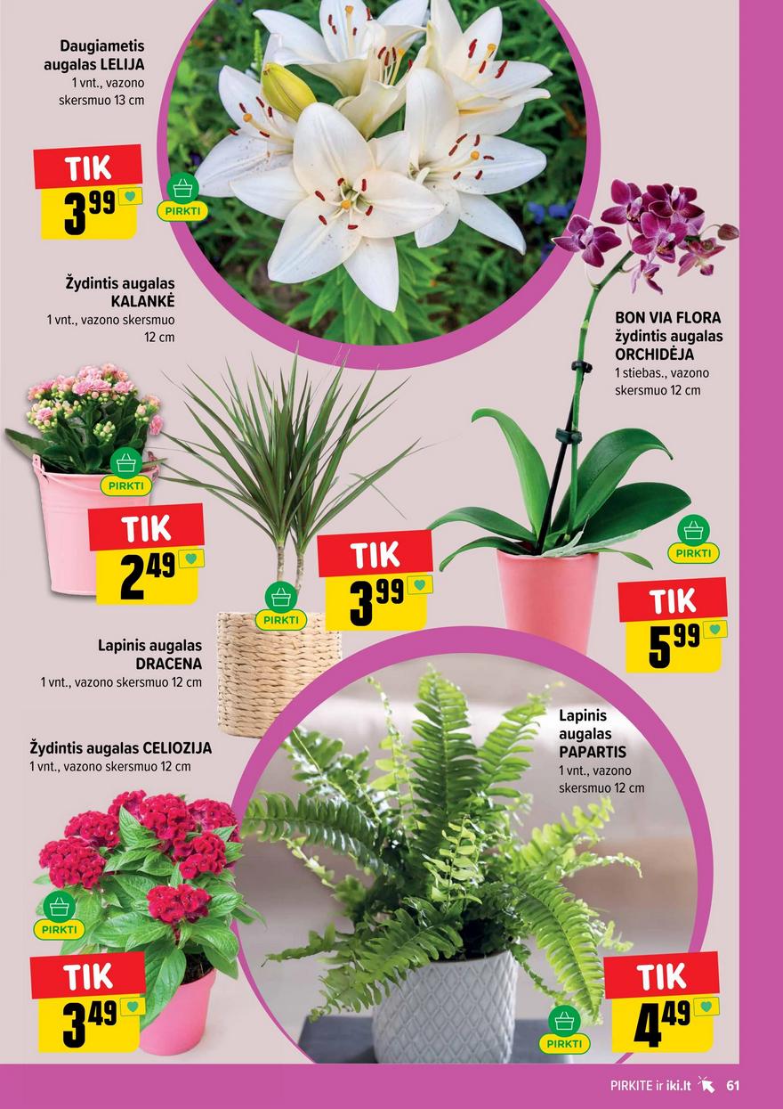 Iki leidinys akcijos nuo 
  2026-06-08 iki 
  2026-06-14 | Leidinukas.lt puslapis 61