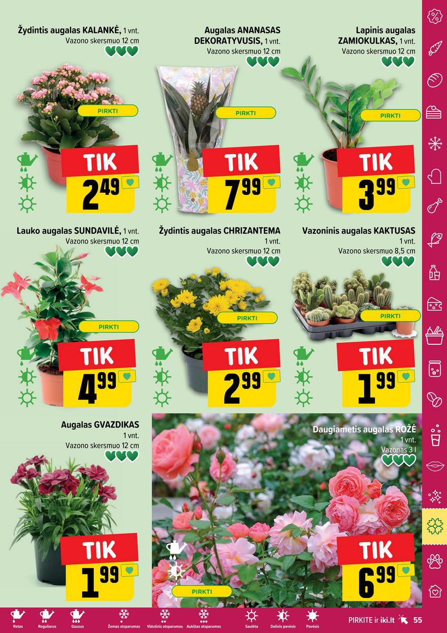 Iki leidinys 22 akcijos nuo 
  2025-05-26 iki 
  2025-06-01 | Leidinukas.lt puslapis 55
