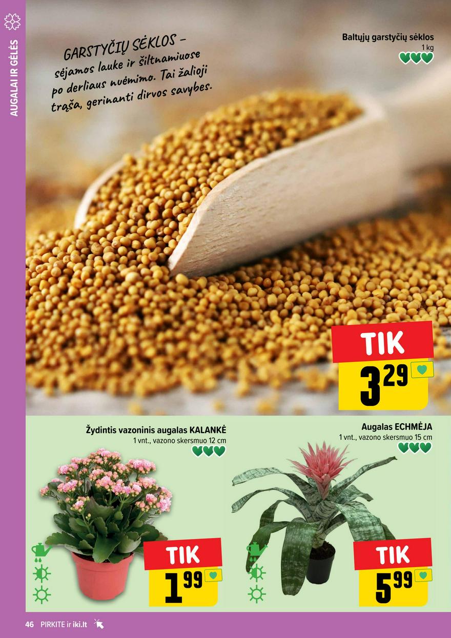 Iki leidinys 34 akcijos nuo 
  2024-08-19 iki 
  2024-08-25 | Leidinukas.lt puslapis 46