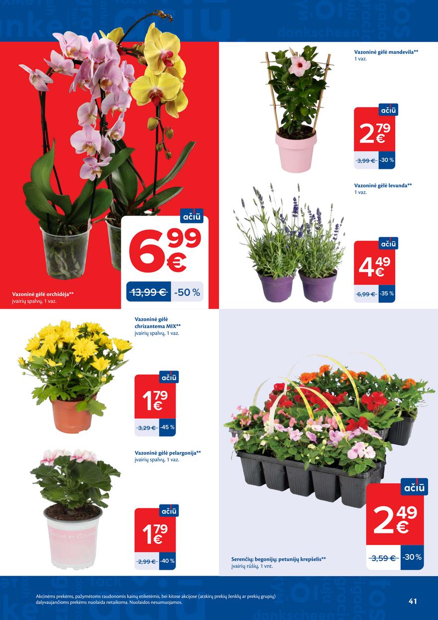 Maxima leidinys akcijos nuo 
  2026-05-19 iki 
  2026-05-25 | Leidinukas.lt puslapis 41