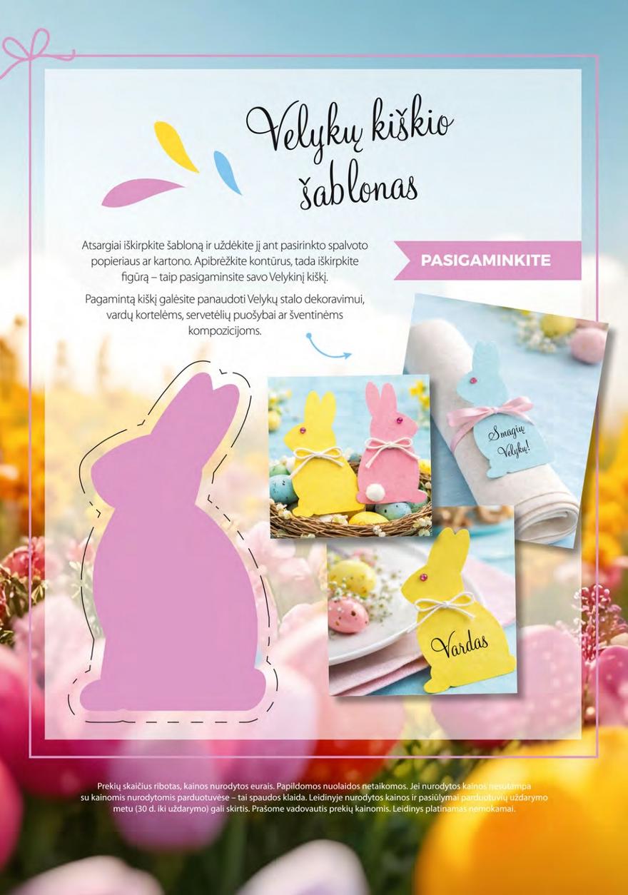 Norfos leidinys akcijos nuo 
  2026-03-24 iki 
  2026-04-07 | Leidinukas.lt puslapis 56