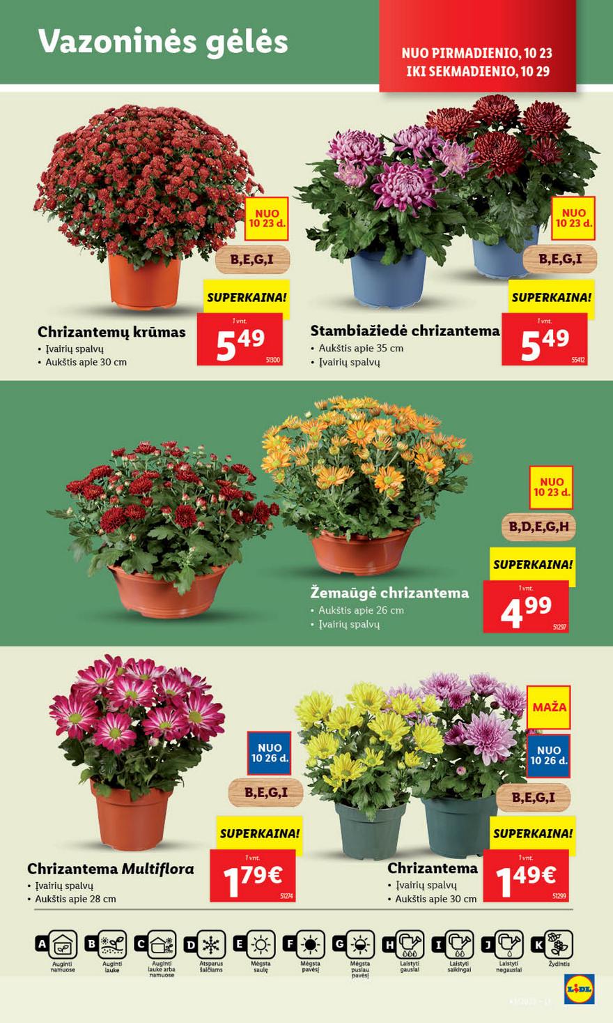 Ldil maisto leidinys akcijos nuo 
  2023-10-23 iki 
  2023-10-29 | Leidinukas.lt puslapis 33