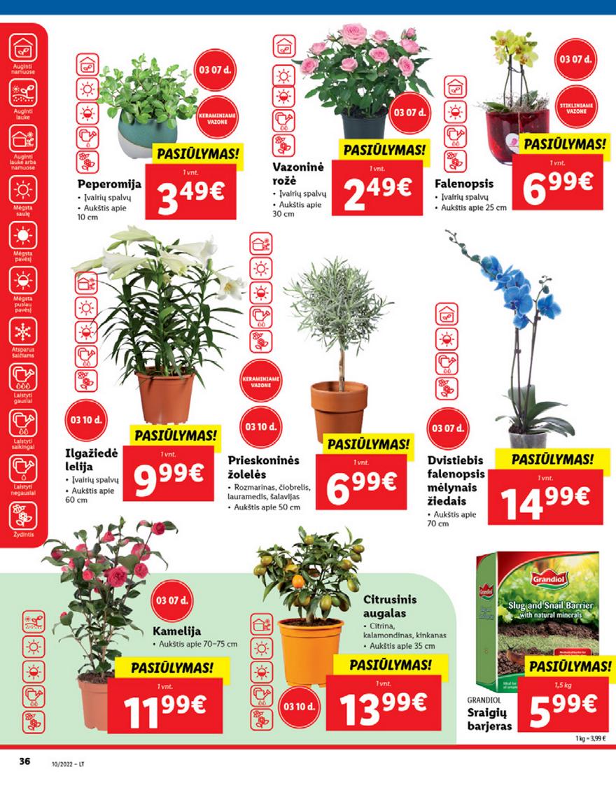 Ldil maisto leidinys akcijos nuo 
  2022-03-07 iki 
  2022-03-13 | Leidinukas.lt puslapis 36