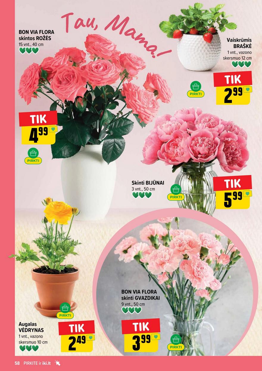 Iki leidinys akcijos nuo 
  2026-04-27 iki 
  2026-05-03 | Leidinukas.lt puslapis 58