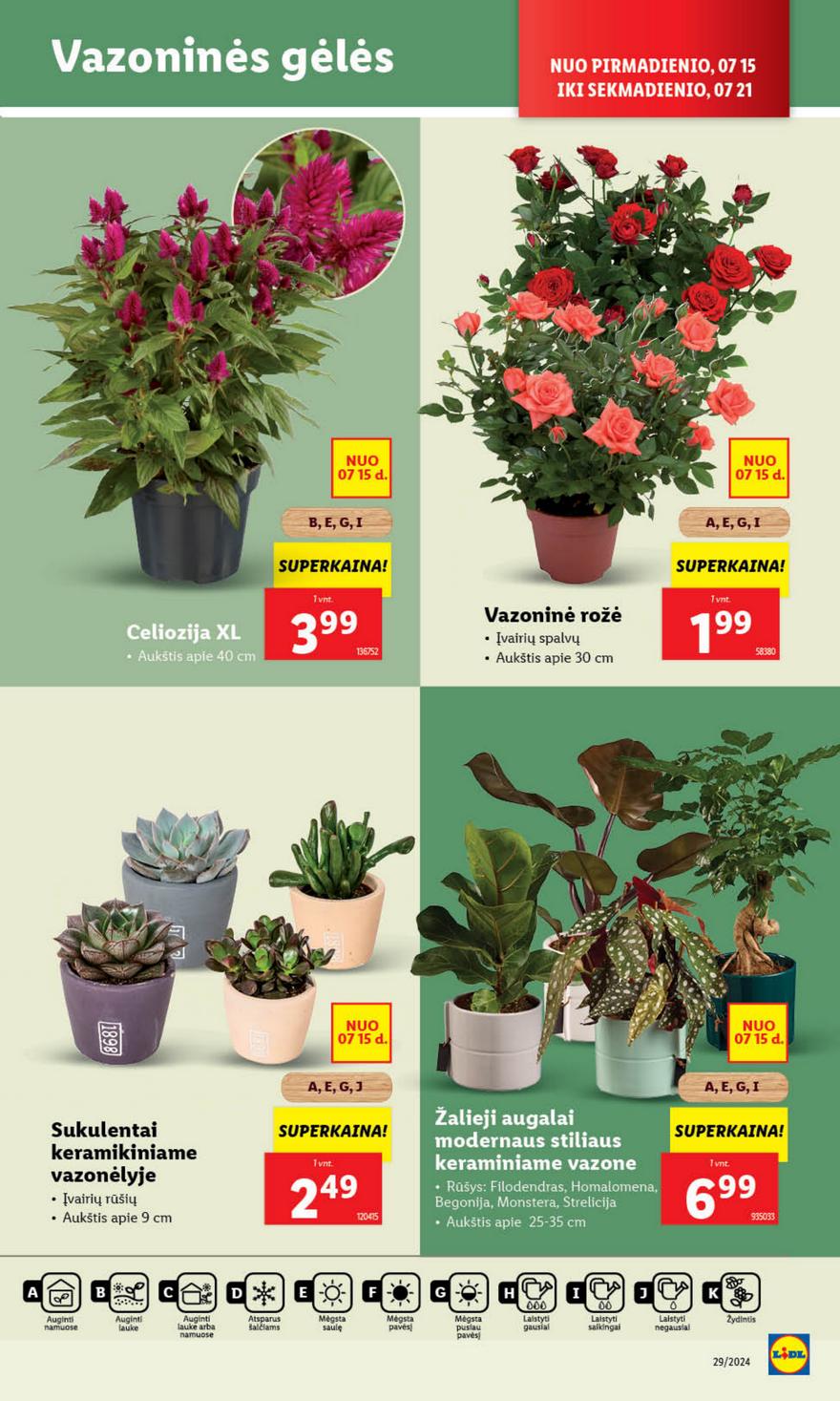 Lidl leidinys akcijos nuo 
  2024-07-15 iki 
  2024-07-21 | Leidinukas.lt puslapis 36