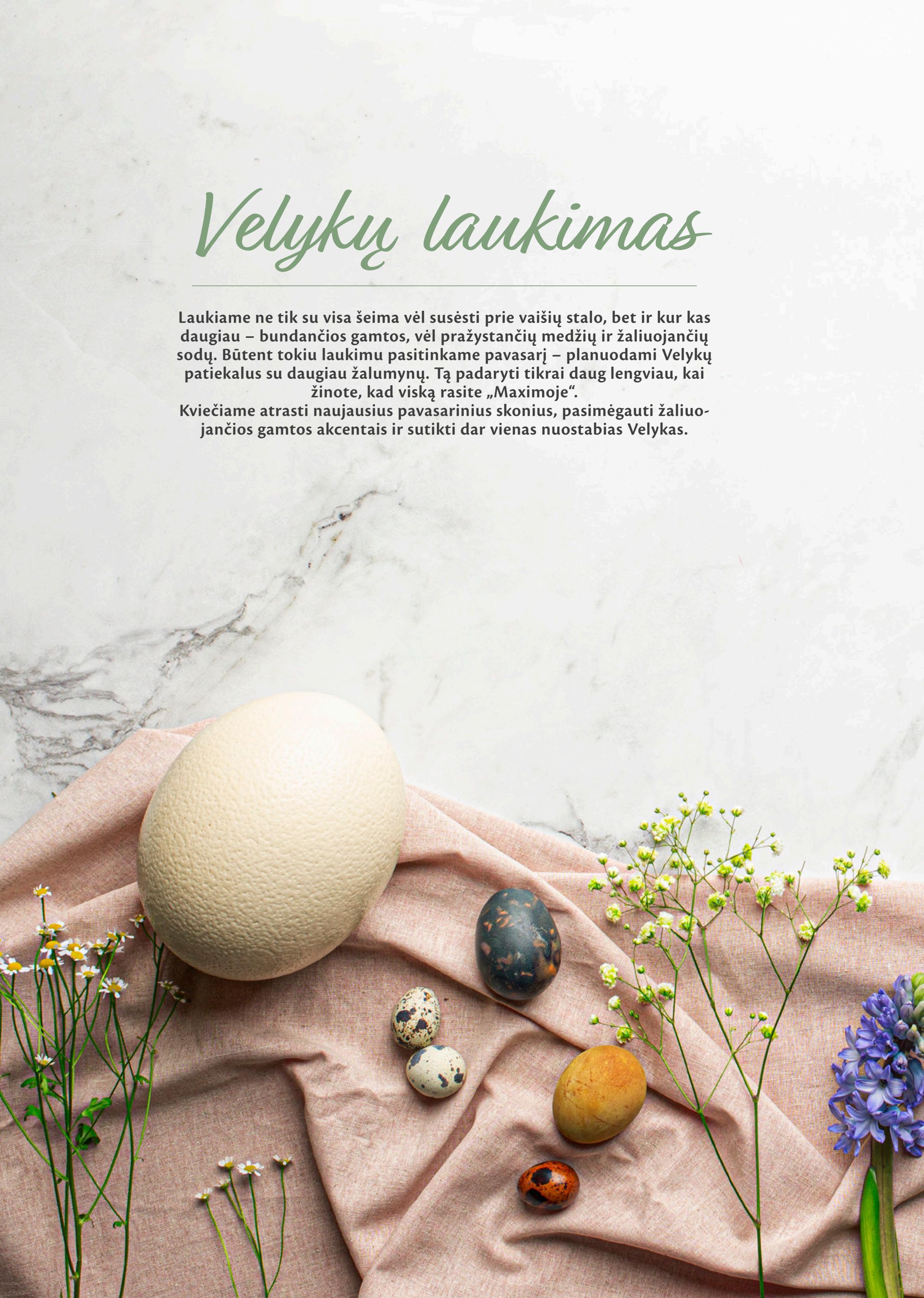Maxima leidinys akcijos nuo 
  2022-03-17 iki 
  2022-03-20 | Leidinukas.lt puslapis 2