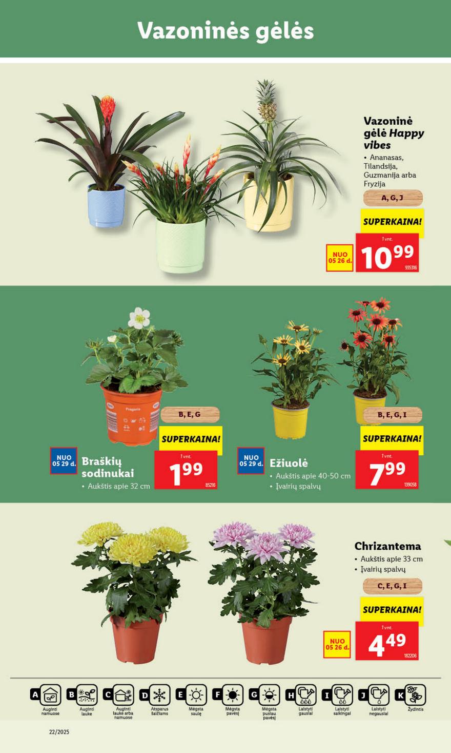 Lidl leidinys akcijos nuo 
  2025-05-26 iki 
  2025-06-01 | Leidinukas.lt puslapis 32