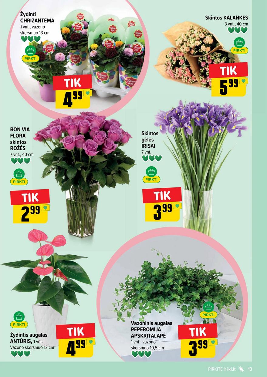 Iki leidinys akcijos nuo 
  2026-07-13 iki 
  2026-07-19 | Leidinukas.lt puslapis 13