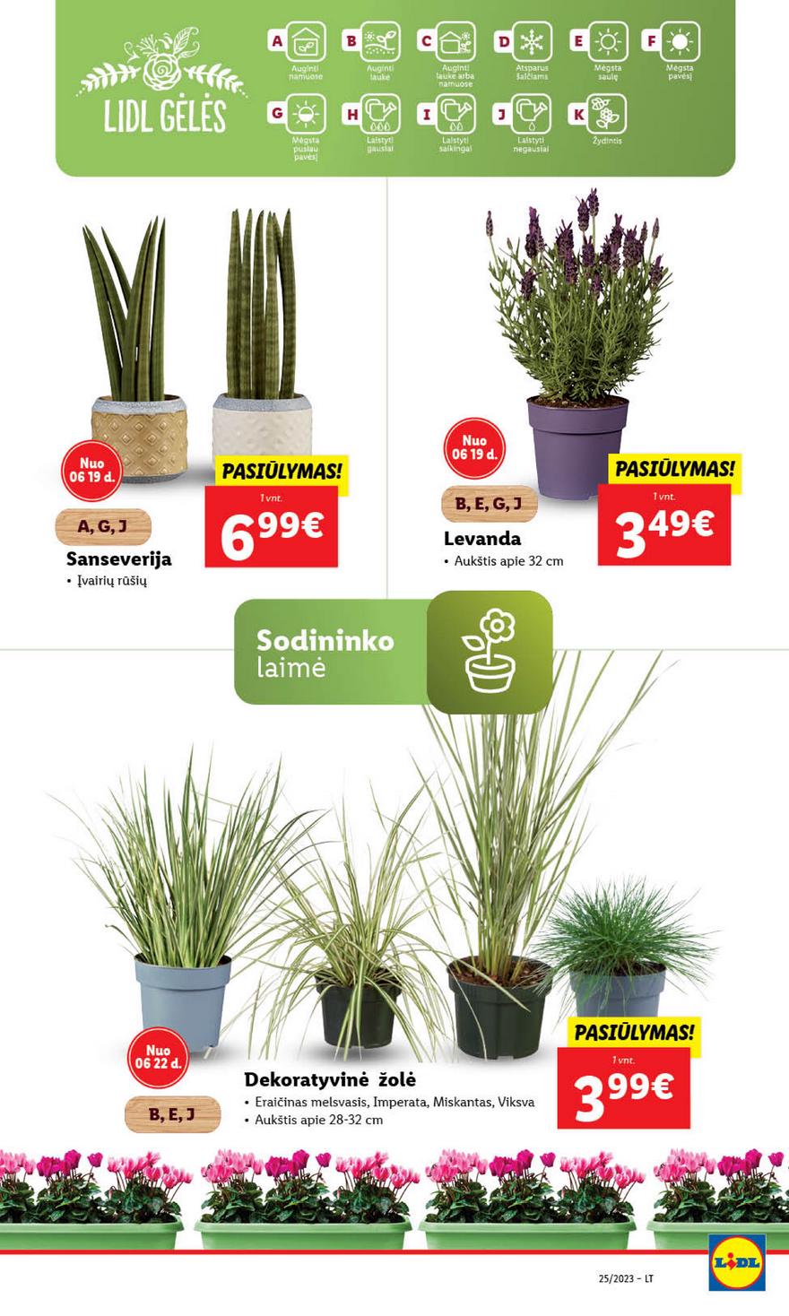 Lidl pasiūlymai akcijos nuo 
  2023-06-19 iki 
  2023-06-25 | Leidinukas.lt puslapis 73
