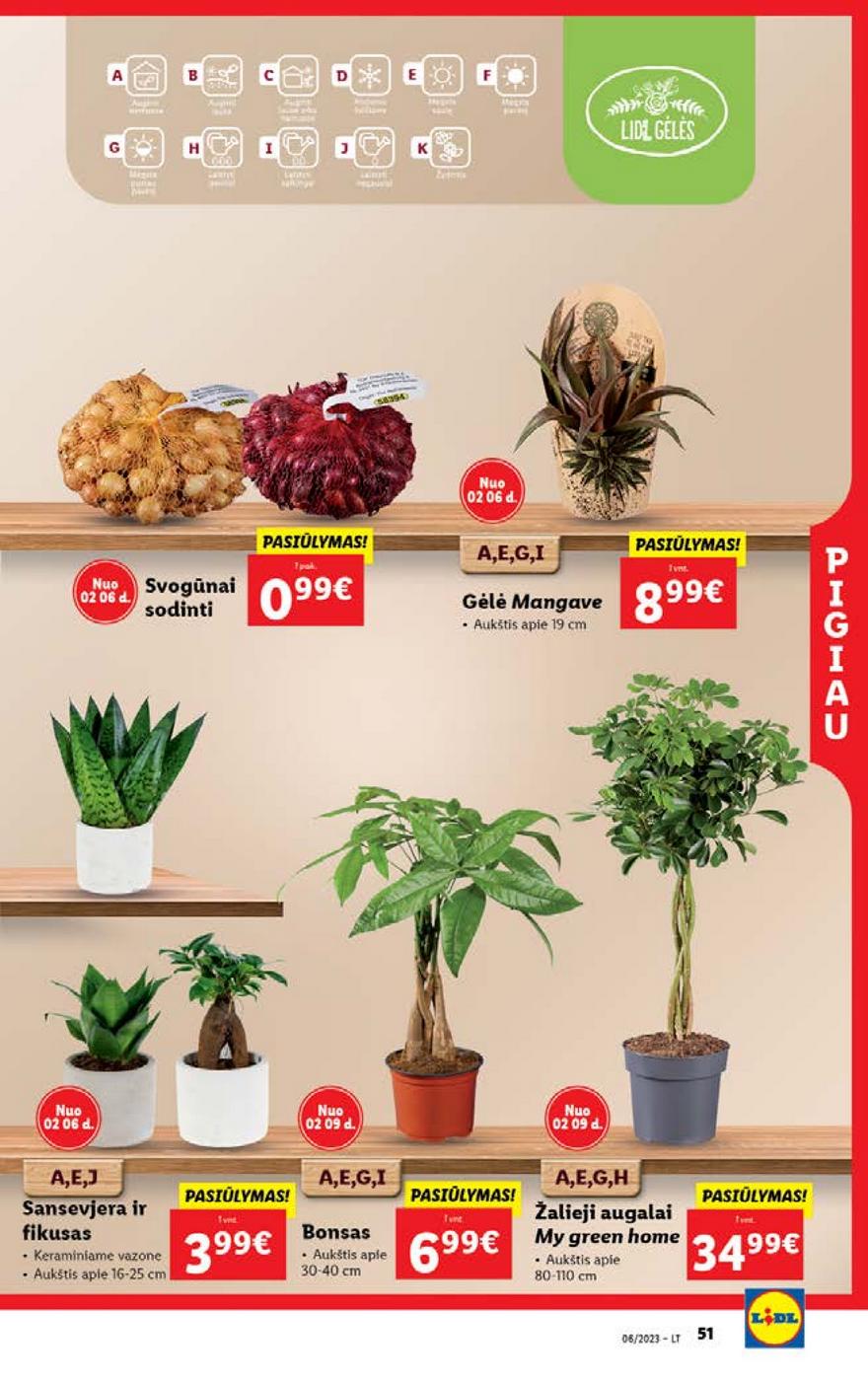 Lidl pasiūlymai akcijos nuo 
  2023-02-06 iki 
  2023-02-12 | Leidinukas.lt puslapis 49
