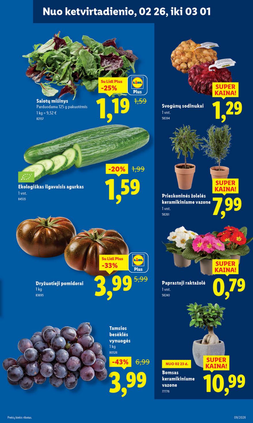 Lidl leidinys akcijos nuo 
  2026-02-23 iki 
  2026-03-01 | Leidinukas.lt puslapis 53
