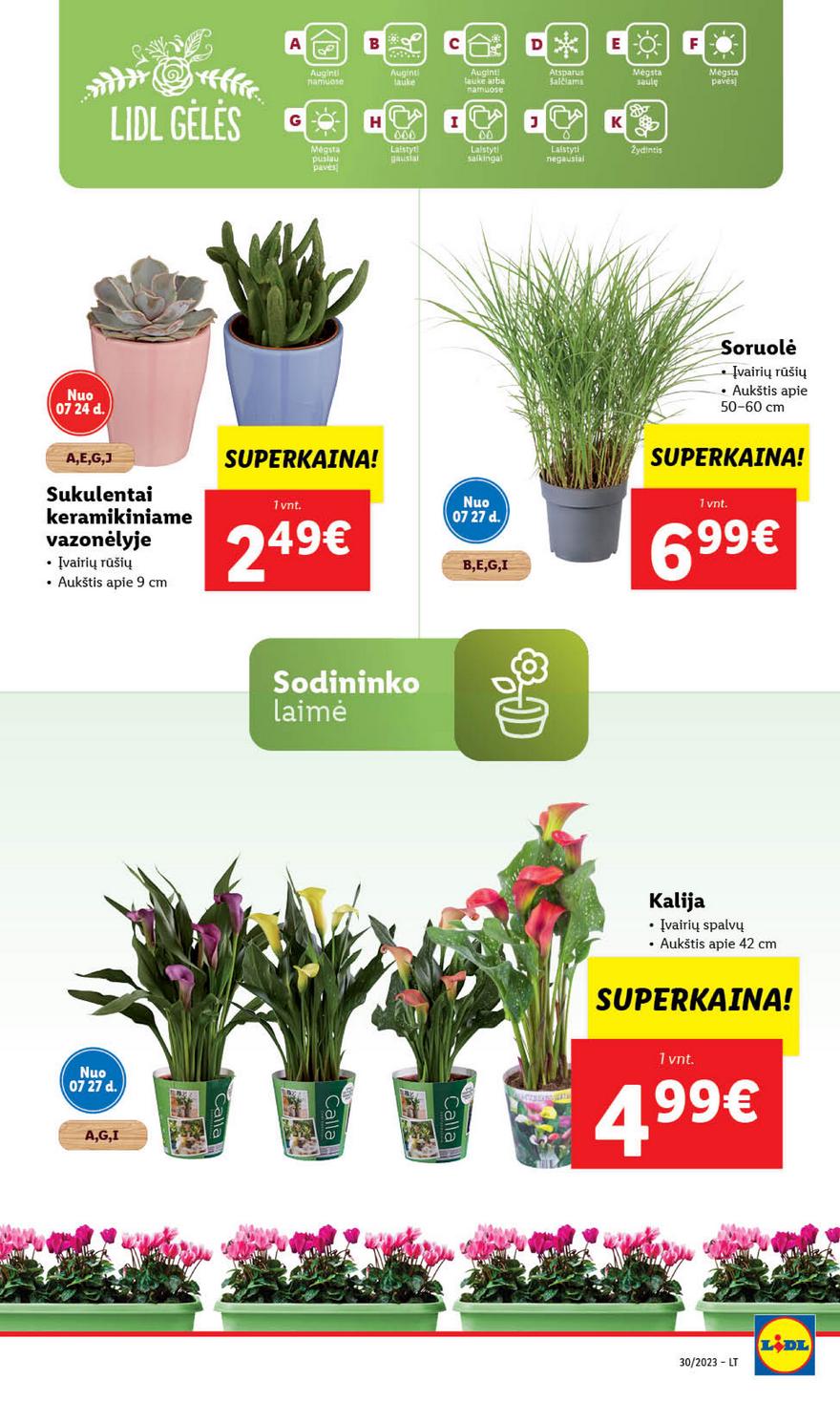 Lidl pasiūlymai akcijos nuo 
  2023-07-24 iki 
  2023-07-30 | Leidinukas.lt puslapis 50
