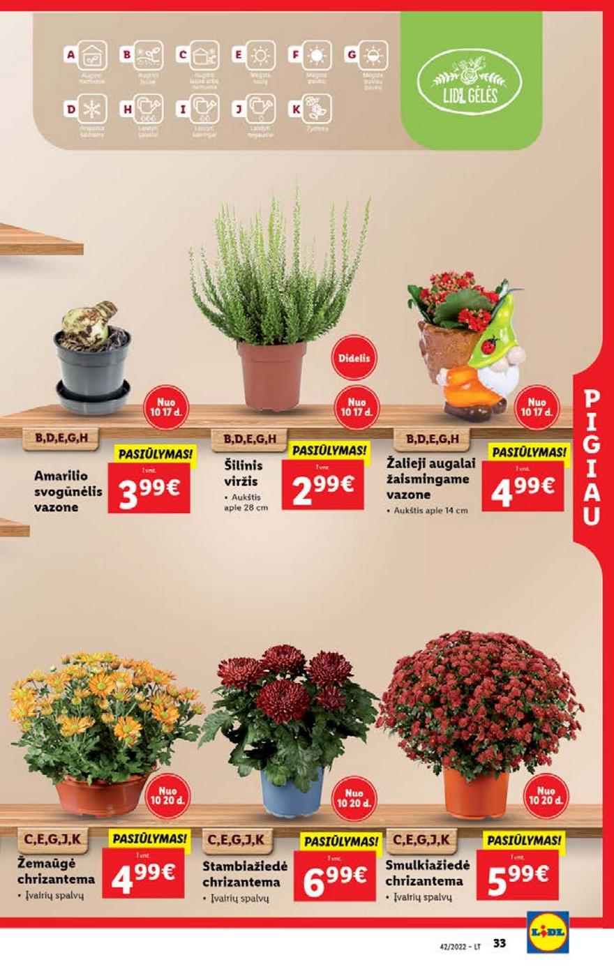 Ldil maisto leidinys akcijos nuo 
  2022-10-17 iki 
  2022-10-23 | Leidinukas.lt puslapis 33